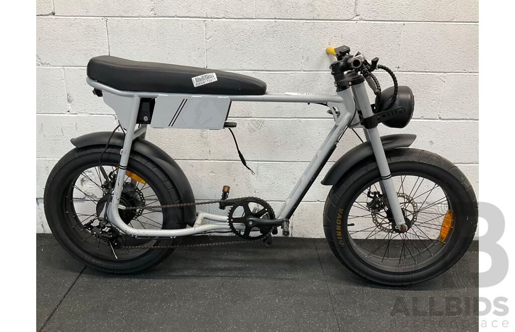 Fat Tire Electric Bike