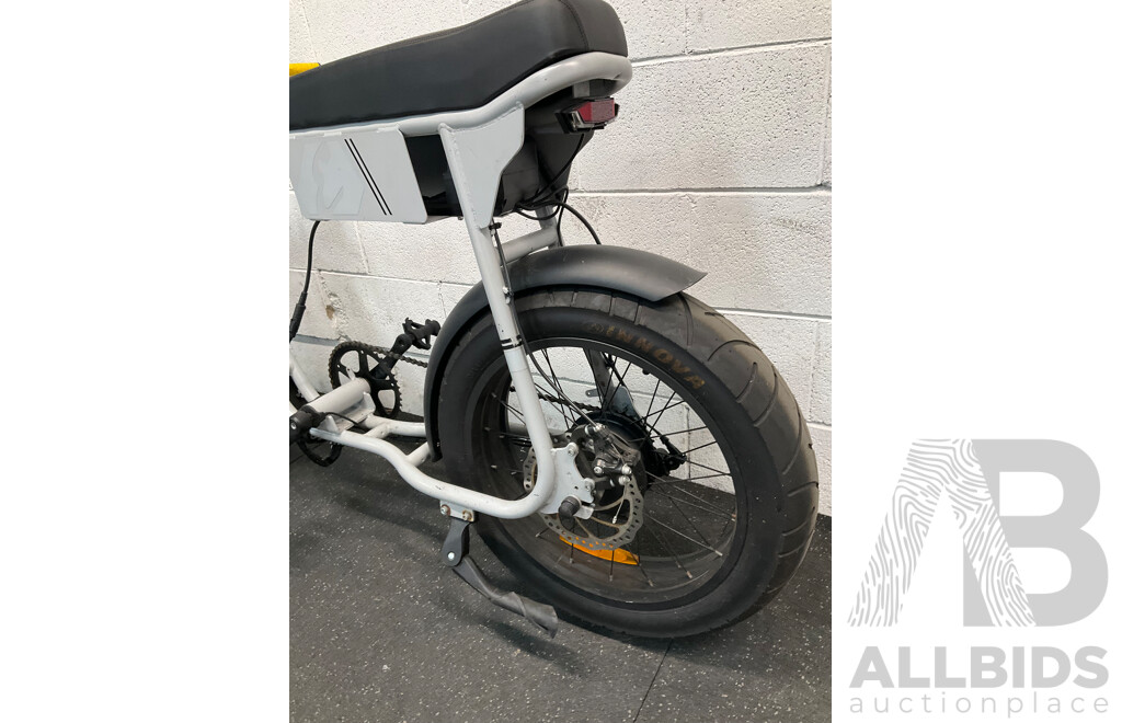 Fat Tire Electric Bike