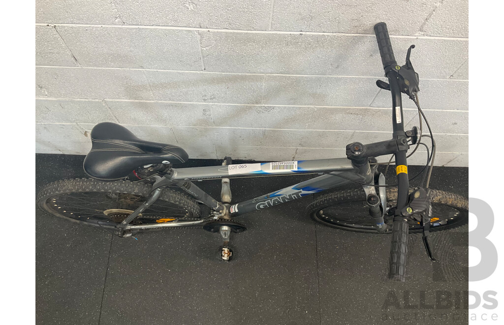 Giant Mountain Bike