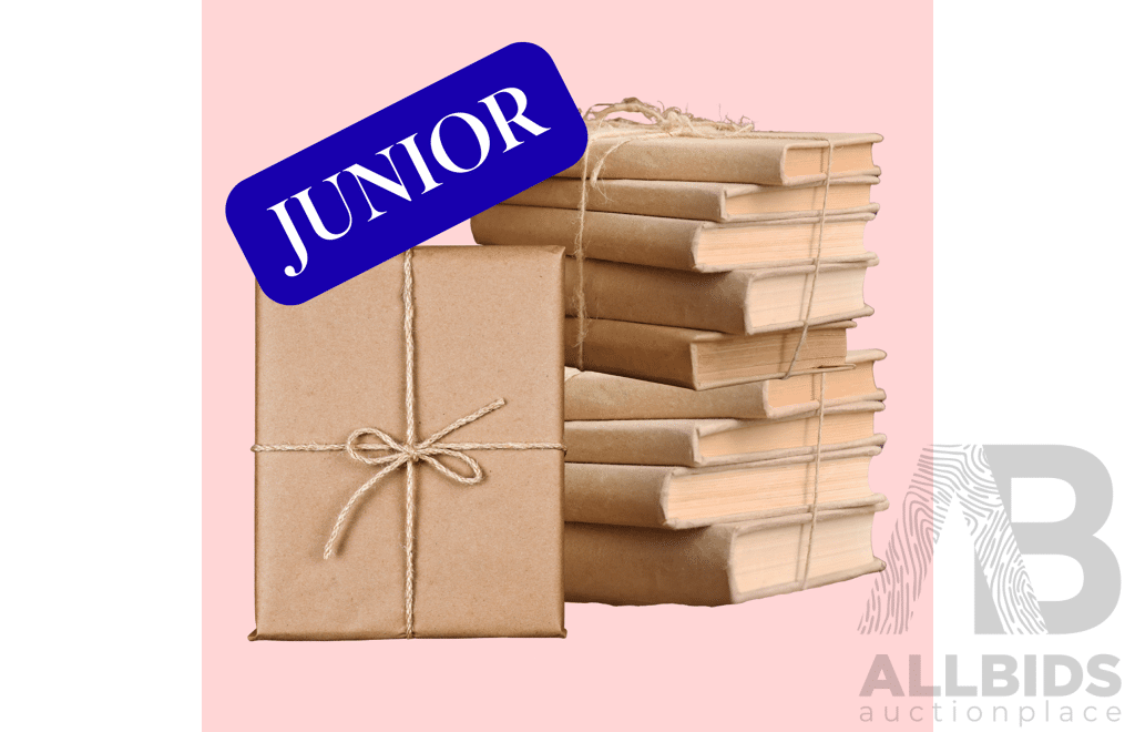 L35 - Children Mystery Book Pack (x10 Books)