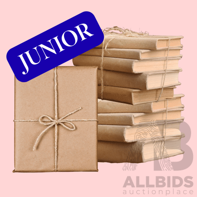 L35 - Children Mystery Book Pack (x10 Books)