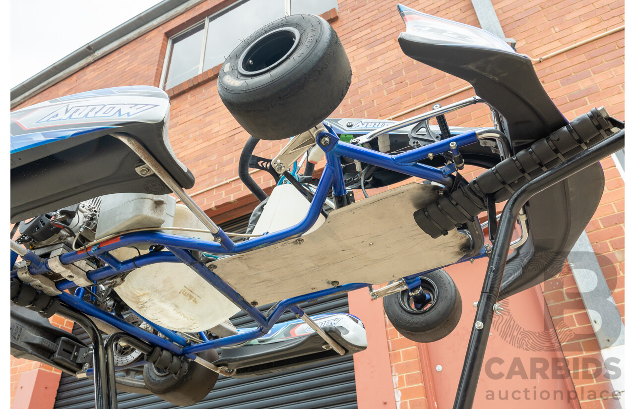 2016 Arrow Karts X30 IAME 125cc Go Kart