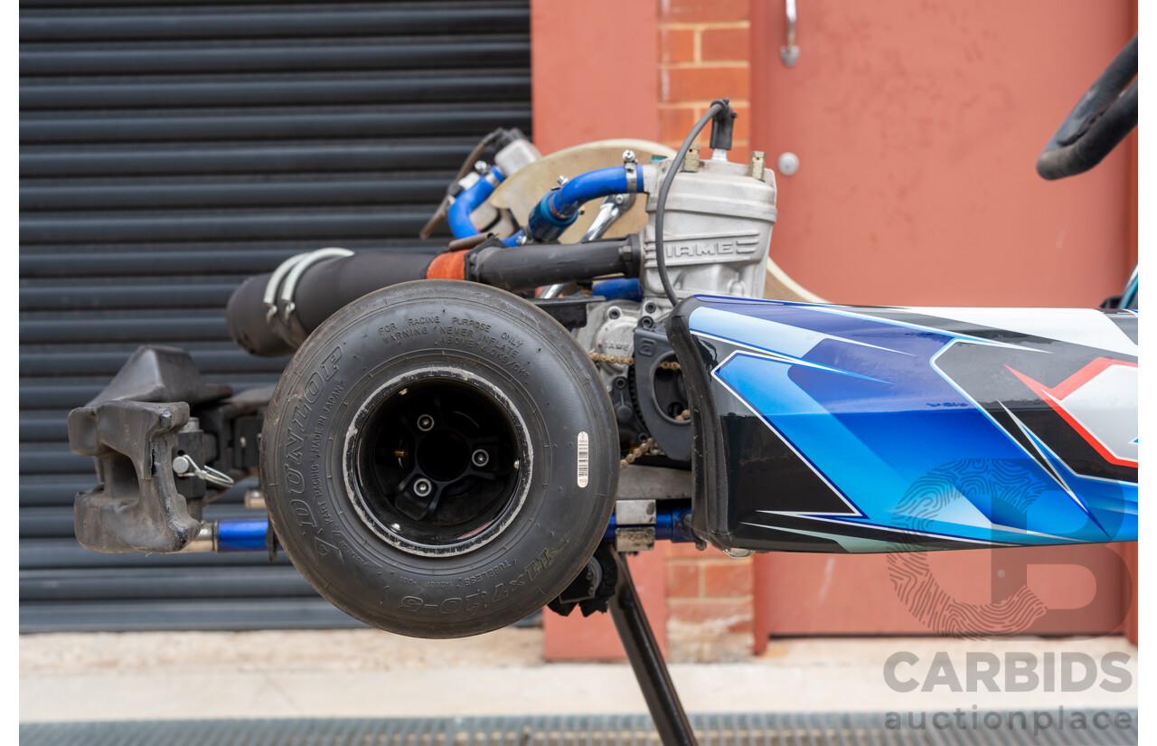 2016 Arrow Karts X30 IAME 125cc Go Kart