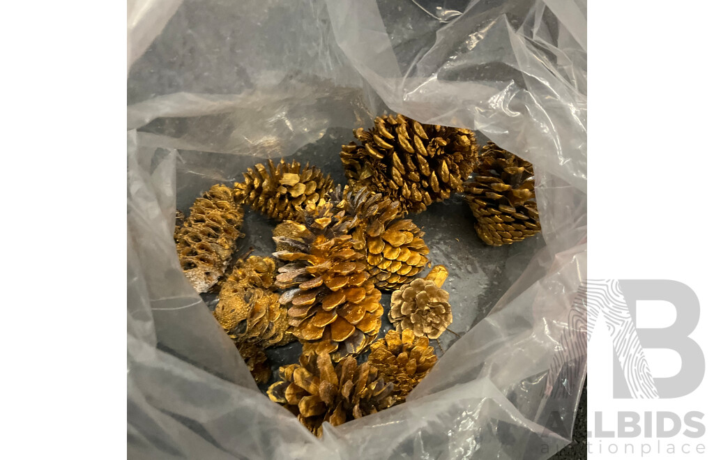 Party Dress-Up and Decoration