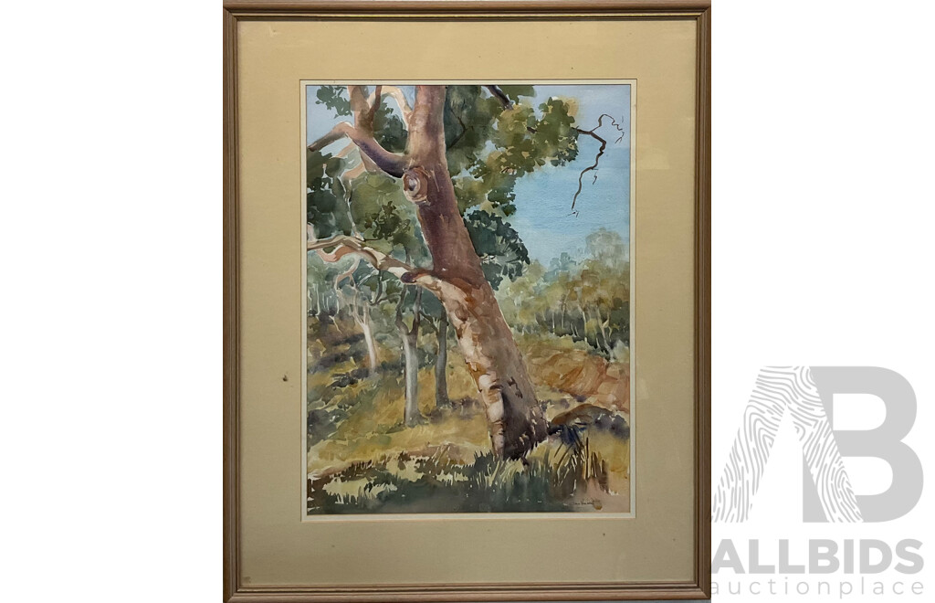 Framed Jan Vincent, the Old Man, Avalon , Watercolour