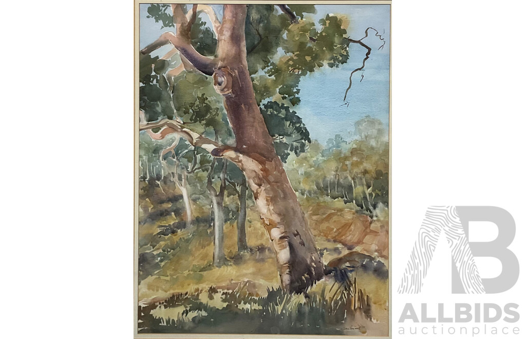 Framed Jan Vincent, the Old Man, Avalon , Watercolour