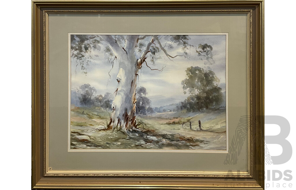 Framed Margaret Wright, Towards the Watagans , Watercolour