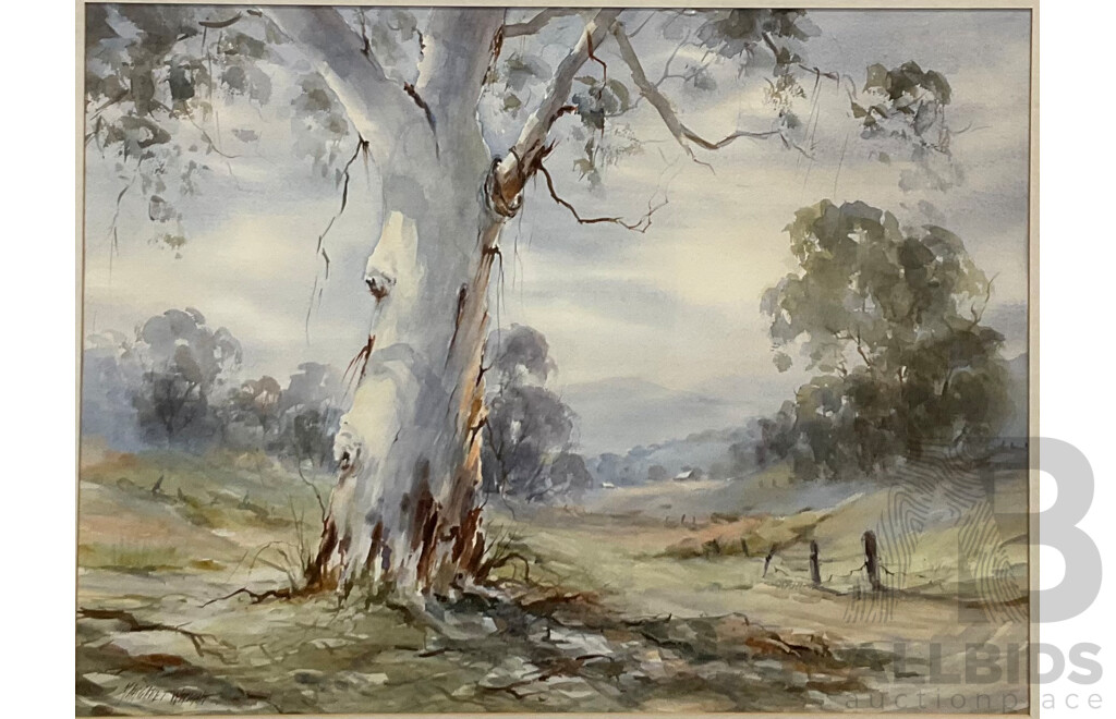 Framed Margaret Wright, Towards the Watagans , Watercolour