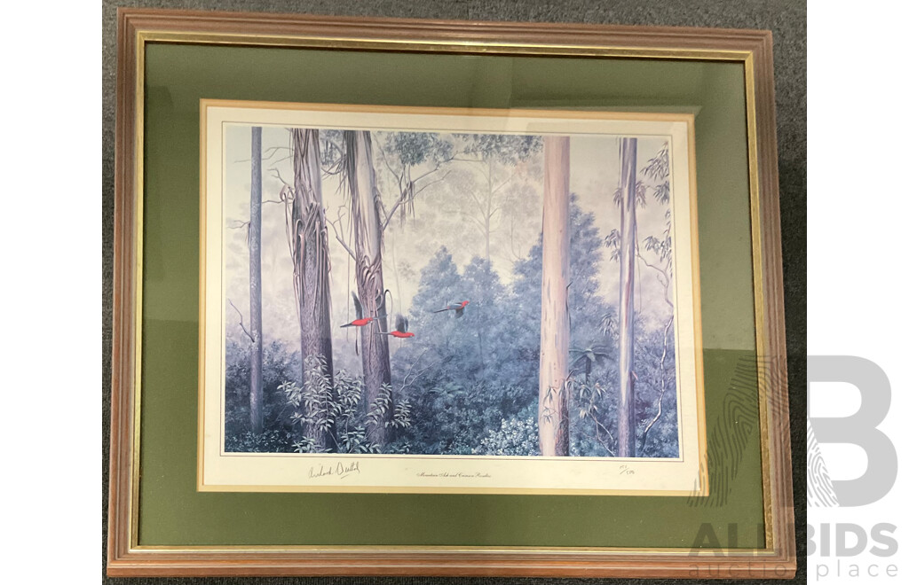 Richard Weatherly  (1947- ) - ''Mountain Ash and Crimson Rosellas'', Print 151/500,  60 X 70 Cm (frame)