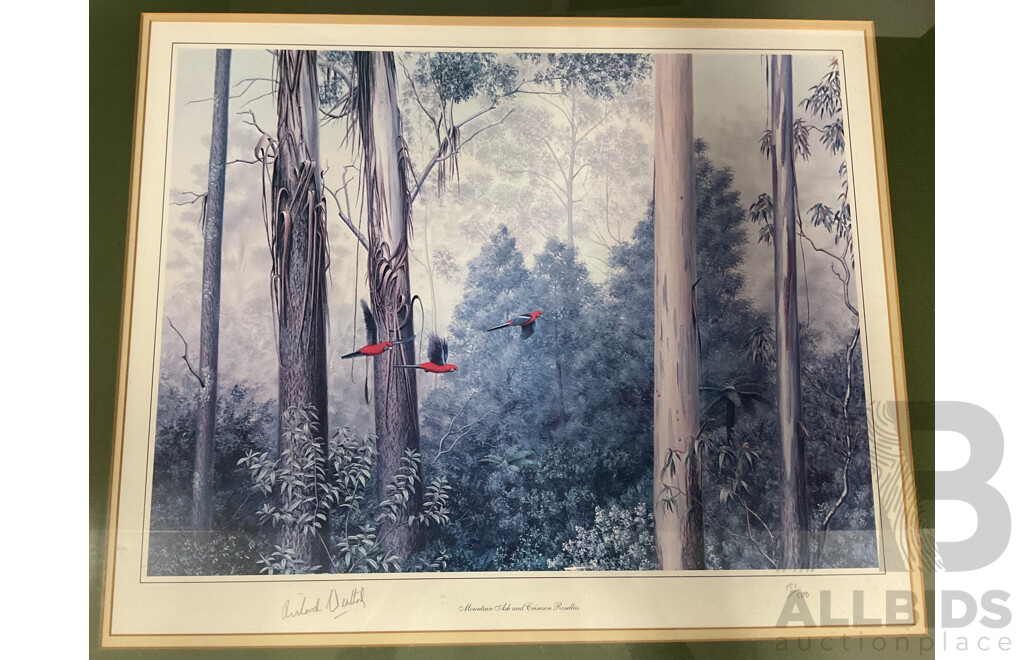 Richard Weatherly  (1947- ) - ''Mountain Ash and Crimson Rosellas'', Print 151/500,  60 X 70 Cm (frame)