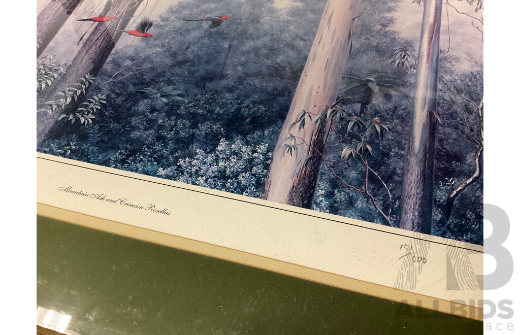 Richard Weatherly  (1947- ) - ''Mountain Ash and Crimson Rosellas'', Print 151/500,  60 X 70 Cm (frame)