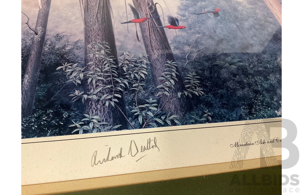 Richard Weatherly  (1947- ) - ''Mountain Ash and Crimson Rosellas'', Print 151/500,  60 X 70 Cm (frame)