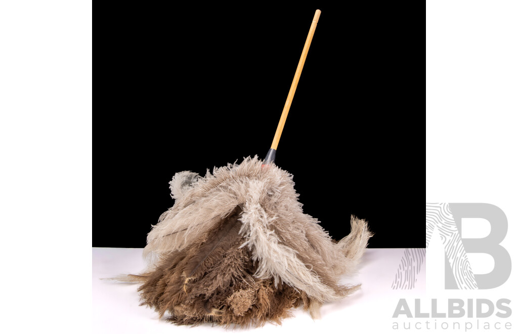 Vintage Ostrich Feather Duster