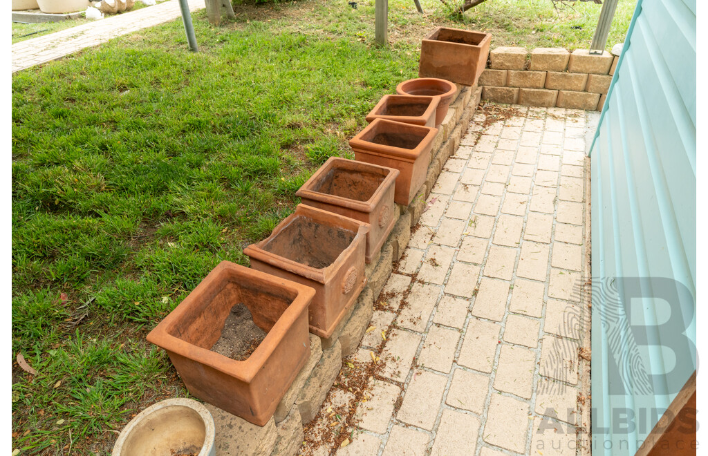Large Collection of Terracotta Planters