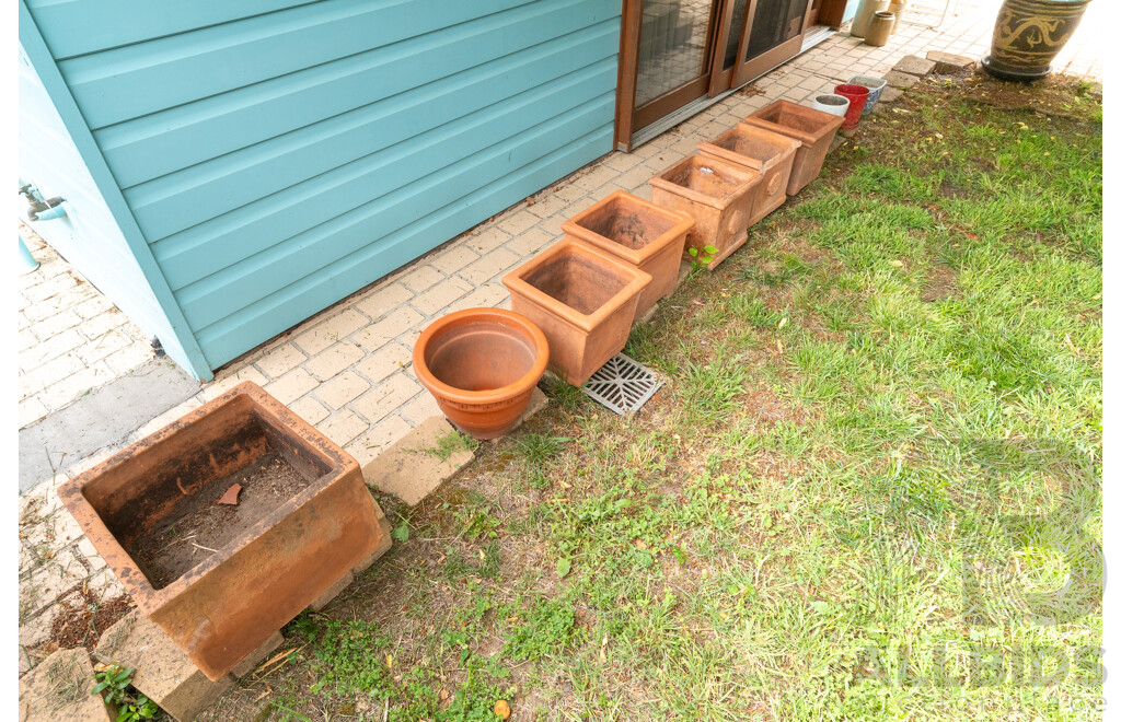 Large Collection of Terracotta Planters