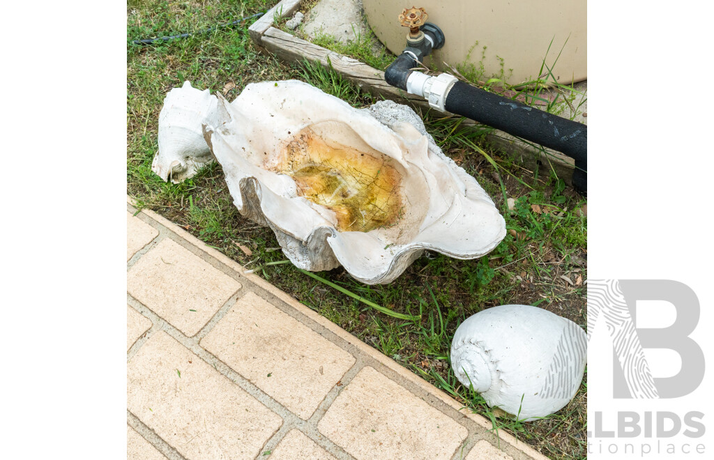 Large Giant Clam Shell with Two Seashells