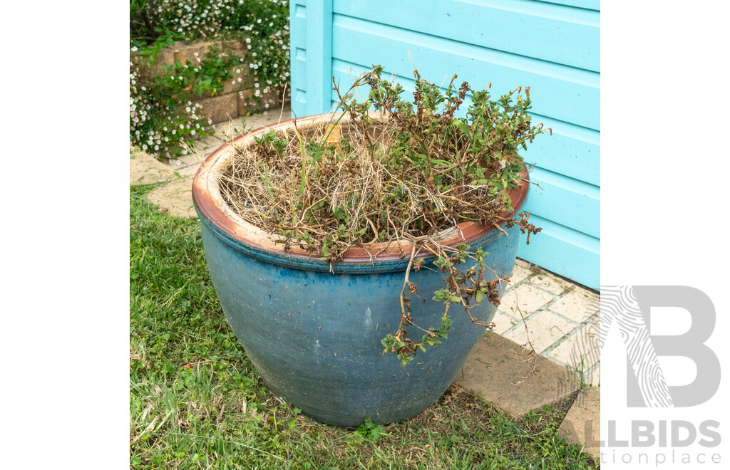 Large Glazed Planter with Petunias
