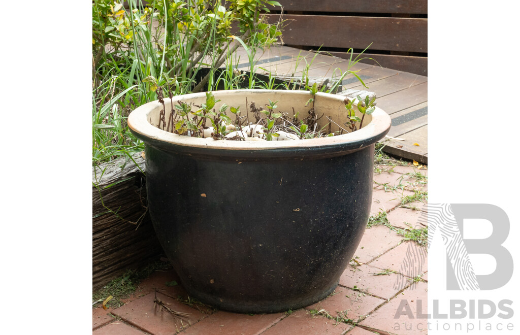 Large Glazed Planter with Mint