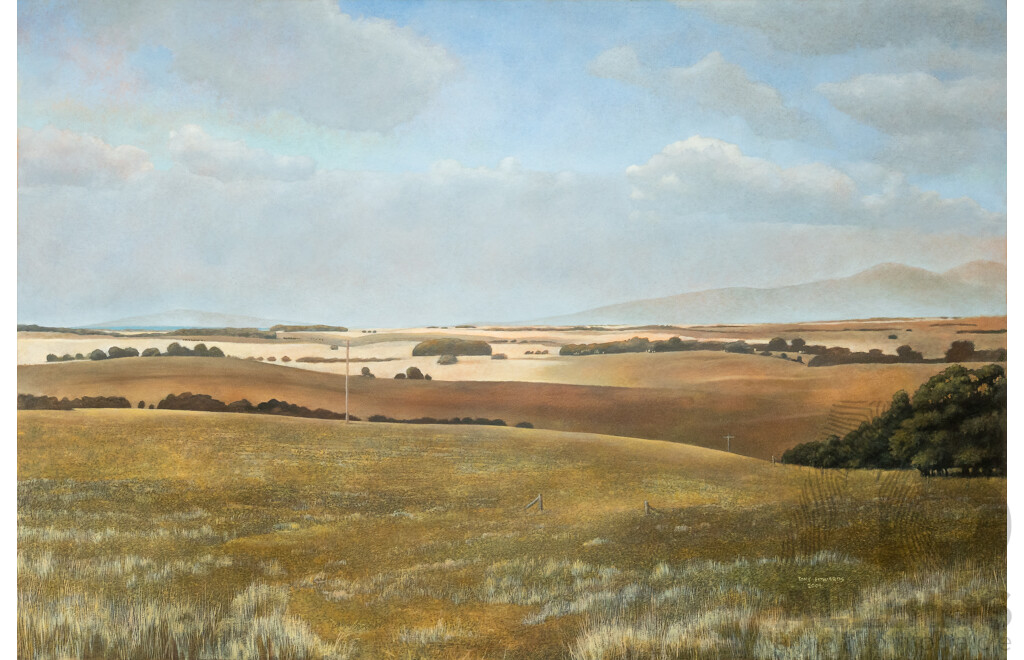 Tony Edwards, (20th Century, Australian, 1944-), The Monaro, Beautiful Original Oil on Canvas, 91 x 137 cm