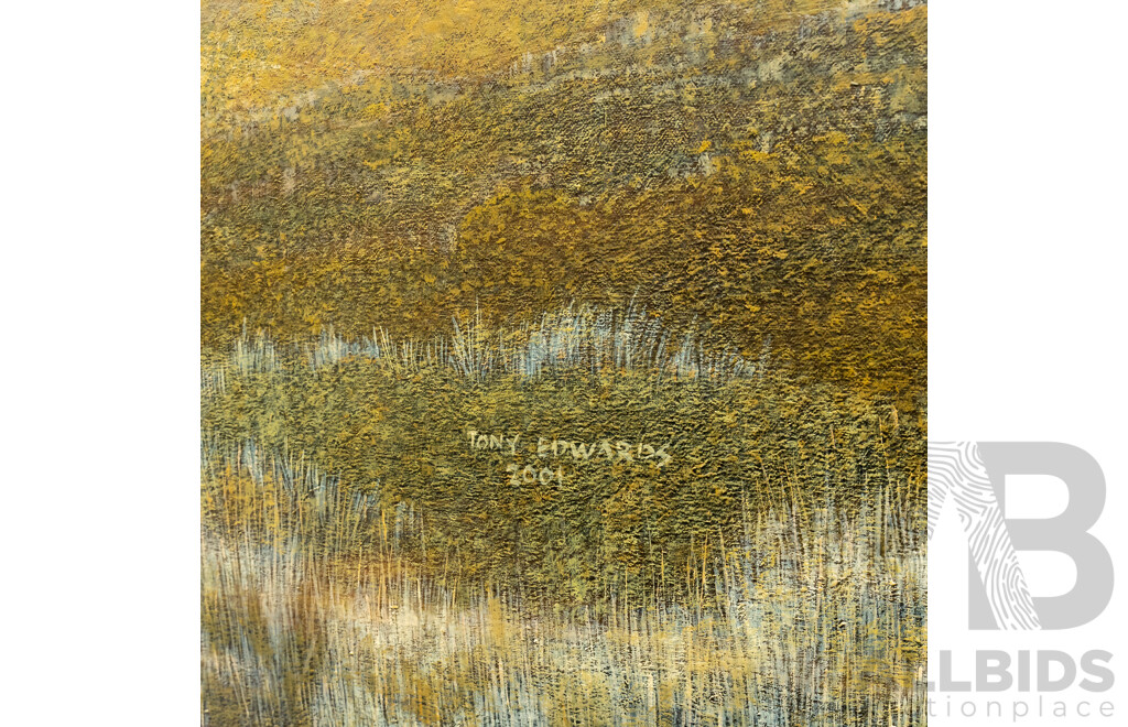Tony Edwards, (20th Century, Australian, 1944-), The Monaro, Beautiful Original Oil on Canvas, 91 x 137 cm