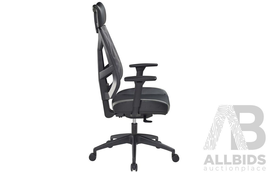 Pago Pinnacle Mesh High Backed Ergonomic Task Chair - Brand New -  ORP $389.00