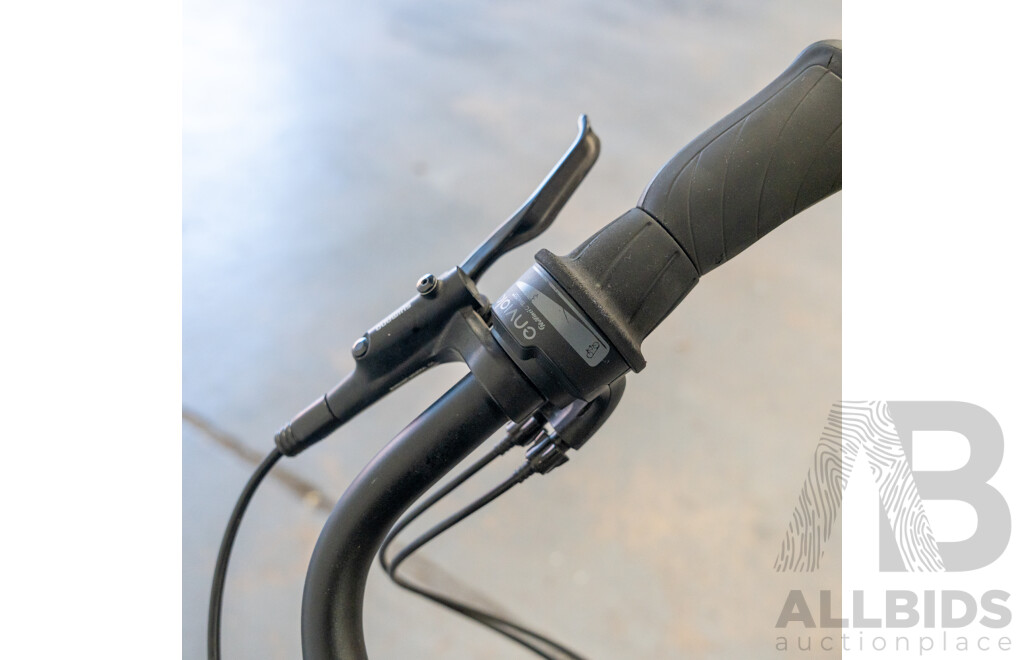 Lekker Amsterdam Single Speed Electric Bike