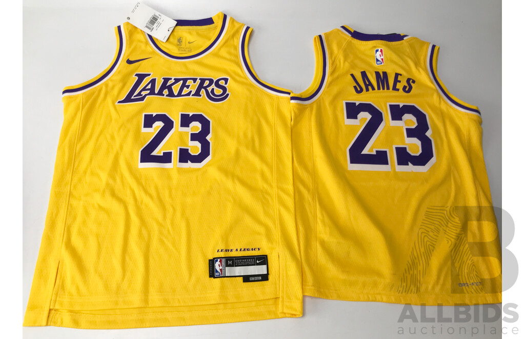 Nike NBA Los Angeles Lakers - LeBron James Kids' Size Jerseys - Lot of 4
