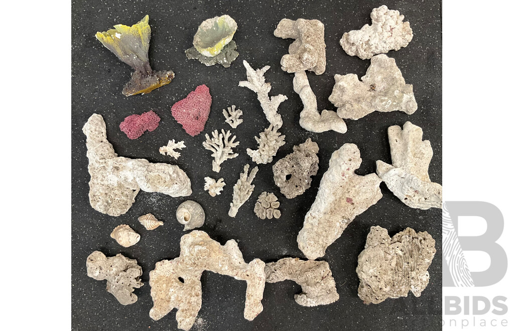 Assorted Aquarium and Fish Tank Supplies