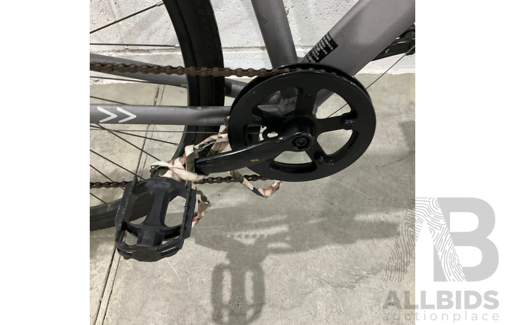 Montreal Bike - Sliver