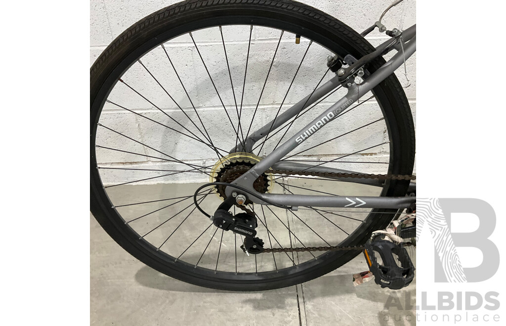 Montreal Bike - Sliver