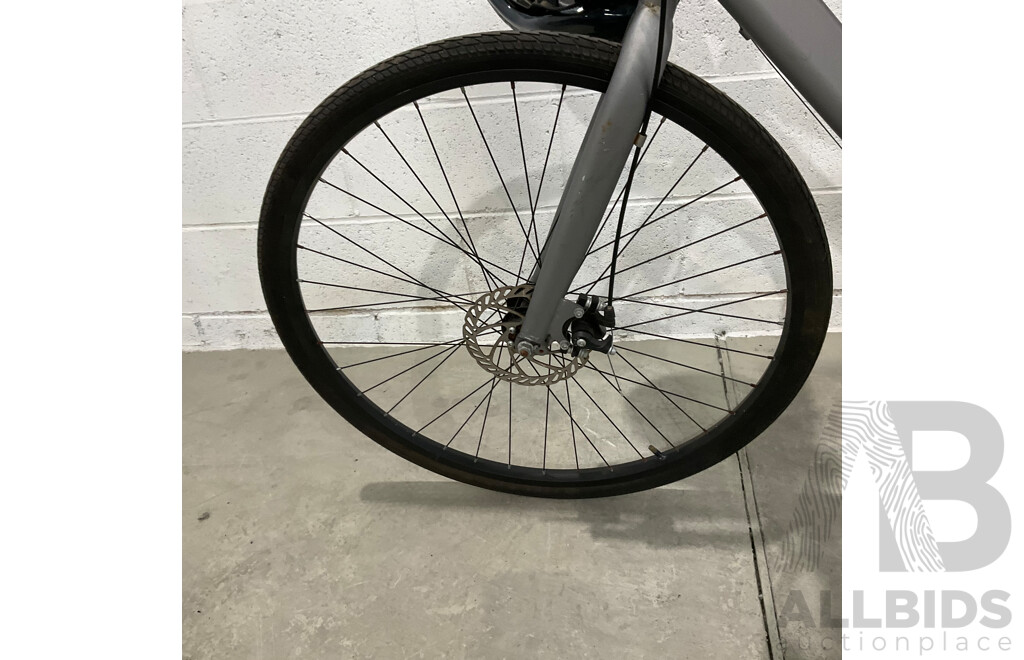 Montreal Bike - Sliver