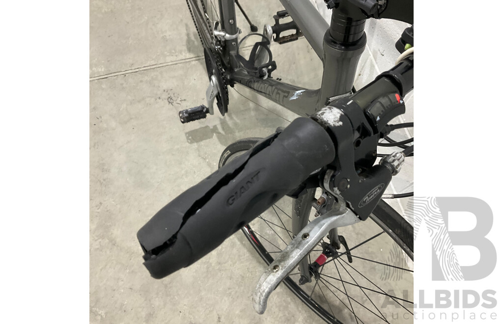 Giant Bike