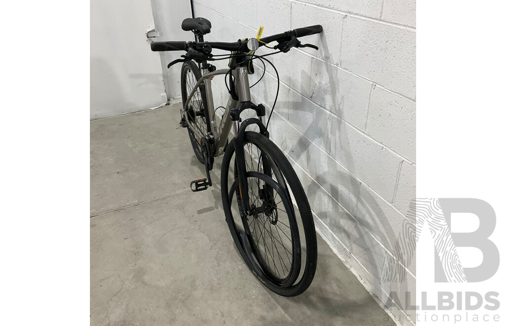 TREK Dual Sport Road Bike - Size L - Silver