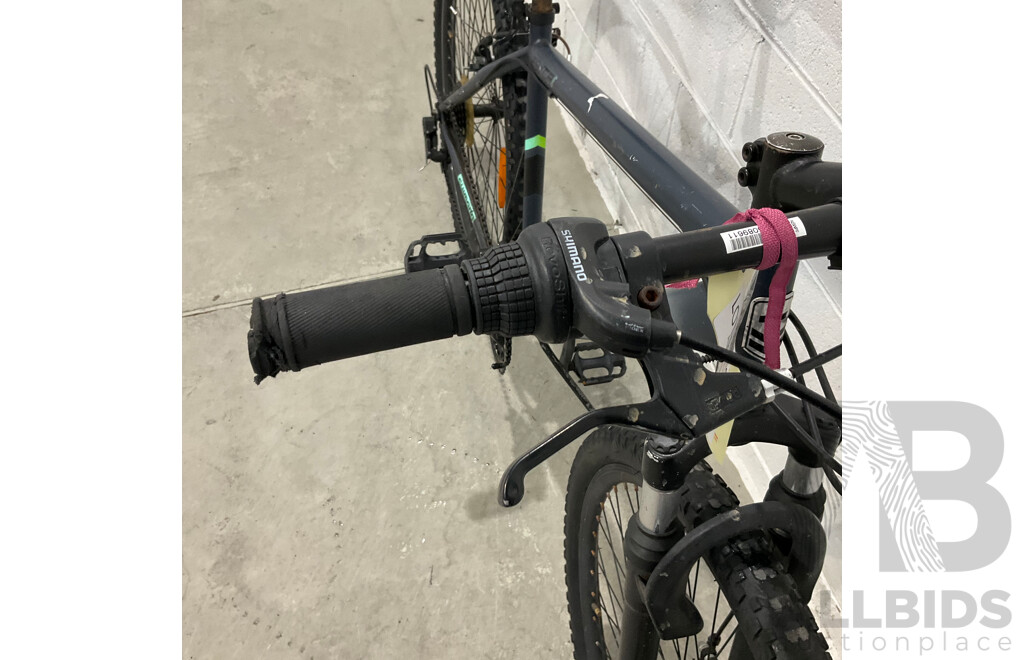 Everest 29 XCR Disc 21 Speed Mountain Bike