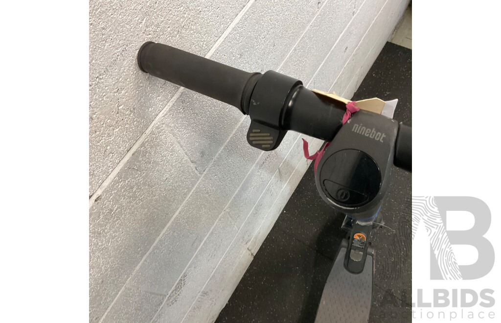 Ninebot Scooter
