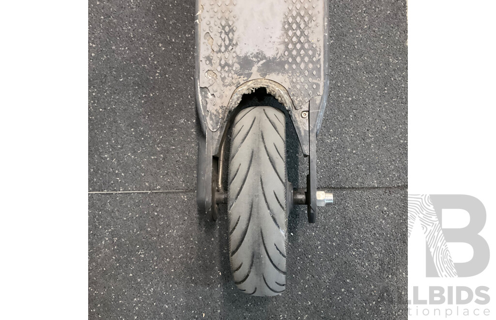 Ninebot Kick Scooter G30 Max