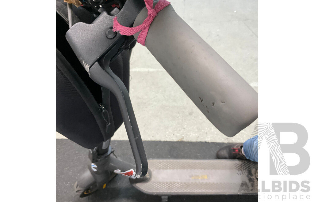 Ninebot Kick Scooter G30 Max