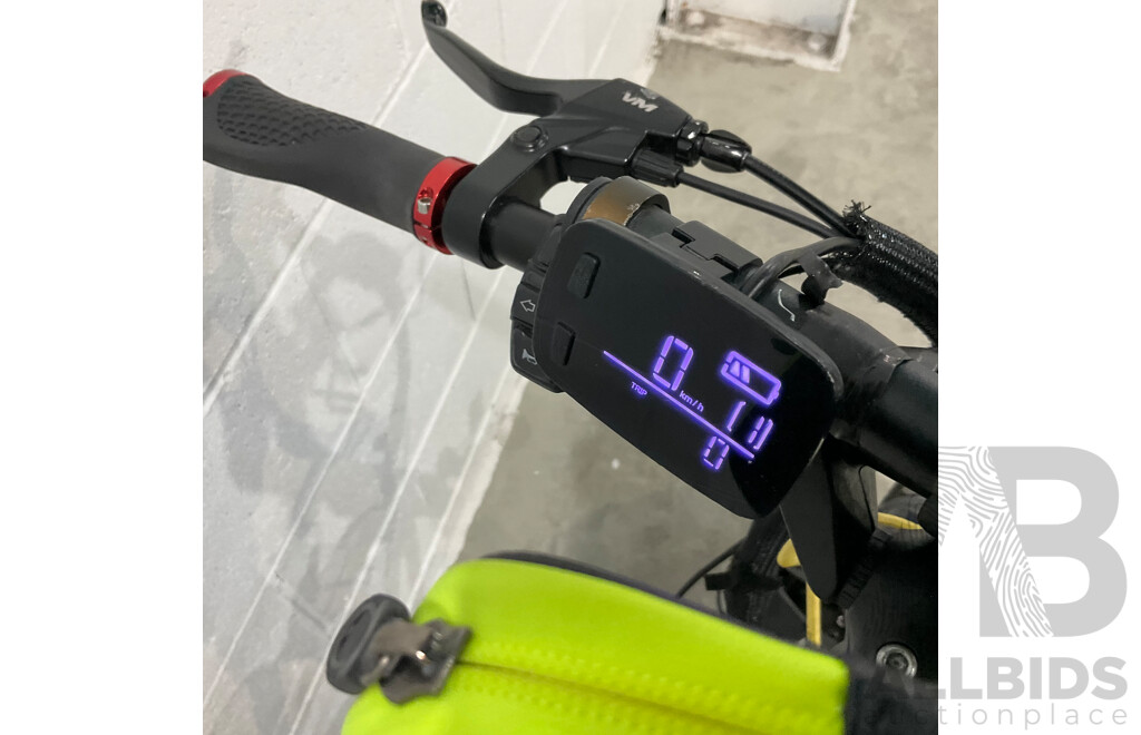 Roadrunner V3 Electric Bike