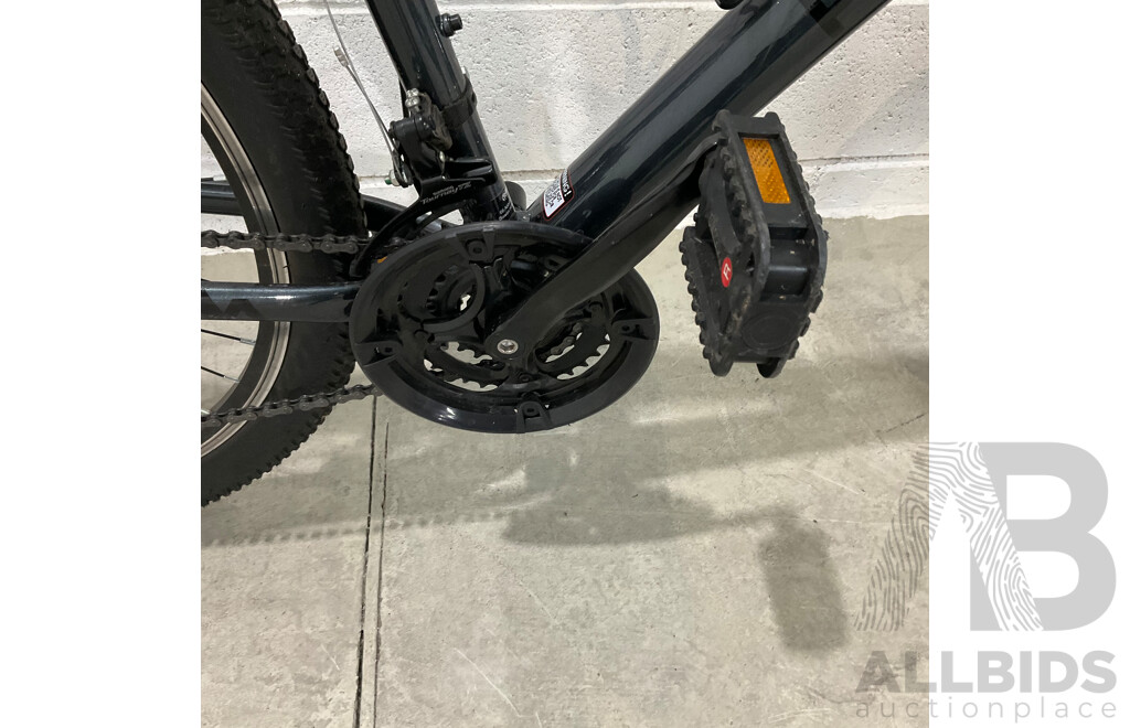 Pedal Ranger Mountain Bike - Size L