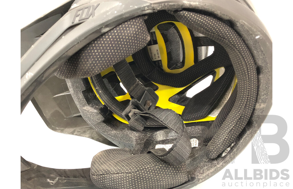 Fox Proframe Helmet and Two Novelty Helmets