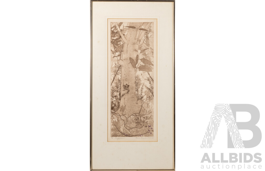 Edith Cowlishaw, (20th Century, Australian, 1923-), Casuarina & Angophora (1979), Signed & Editioned Pair of Original Hand Coloured Etchings, 75 x 37 cm (frames) (2)