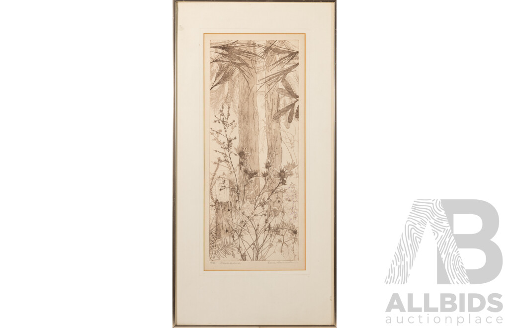 Edith Cowlishaw, (20th Century, Australian, 1923-), Casuarina & Angophora (1979), Signed & Editioned Pair of Original Hand Coloured Etchings, 75 x 37 cm (frames) (2)