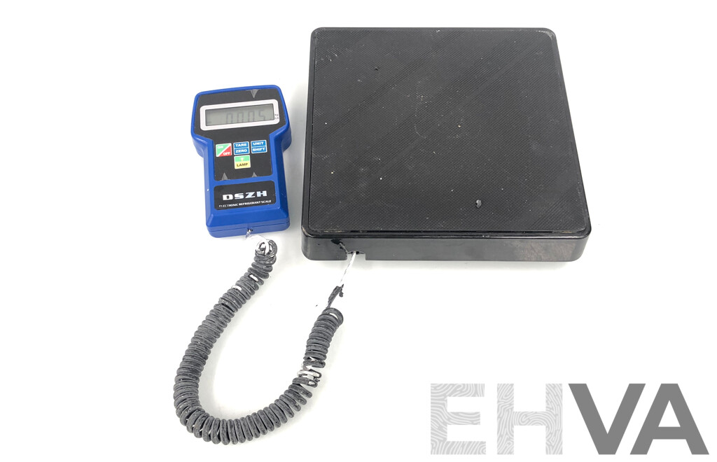 DSZH Portable Electronic Refrigerent Scales
