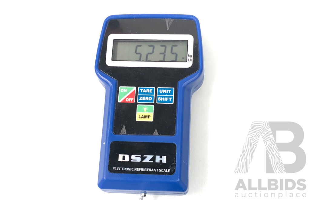 DSZH Portable Electronic Refrigerent Scales