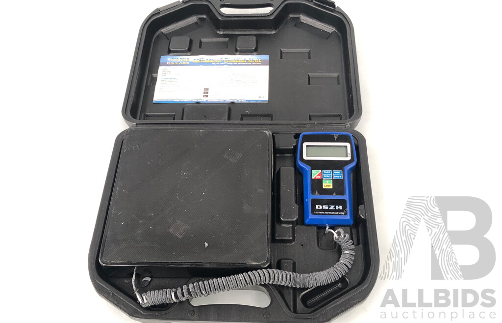 DSZH Portable Electronic Refrigerent Scales