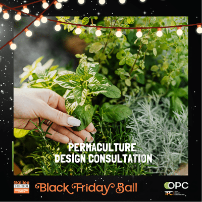 L27 - Permaculture Design Consultation for Home or Business