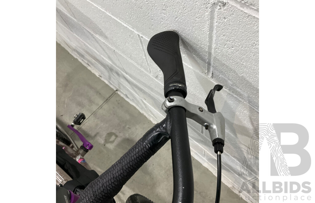 Custom - Built Mountain Bike