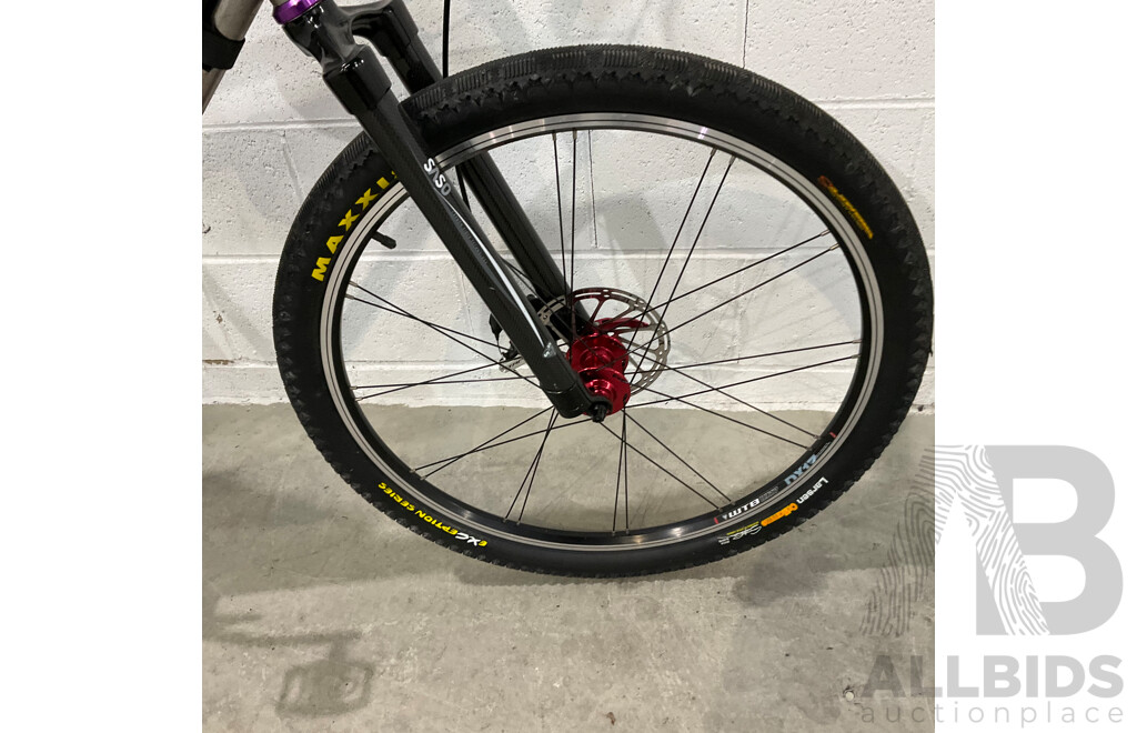 Custom - Built Mountain Bike