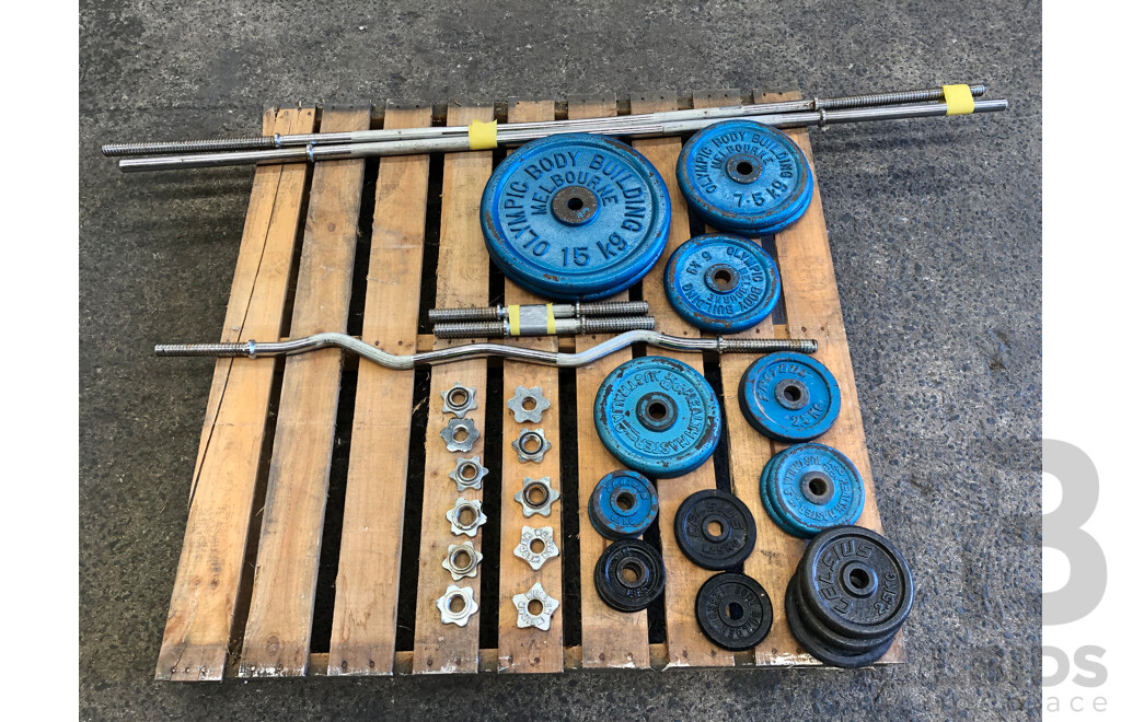 Selection of Barbells, Dumbells and Weight Discs