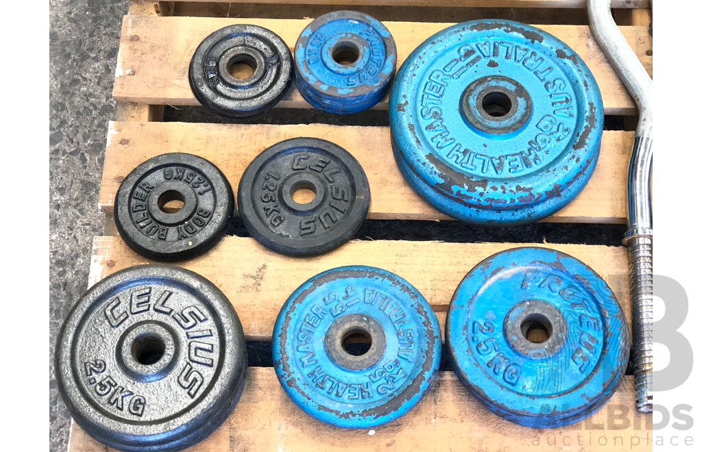 Selection of Barbells, Dumbells and Weight Discs